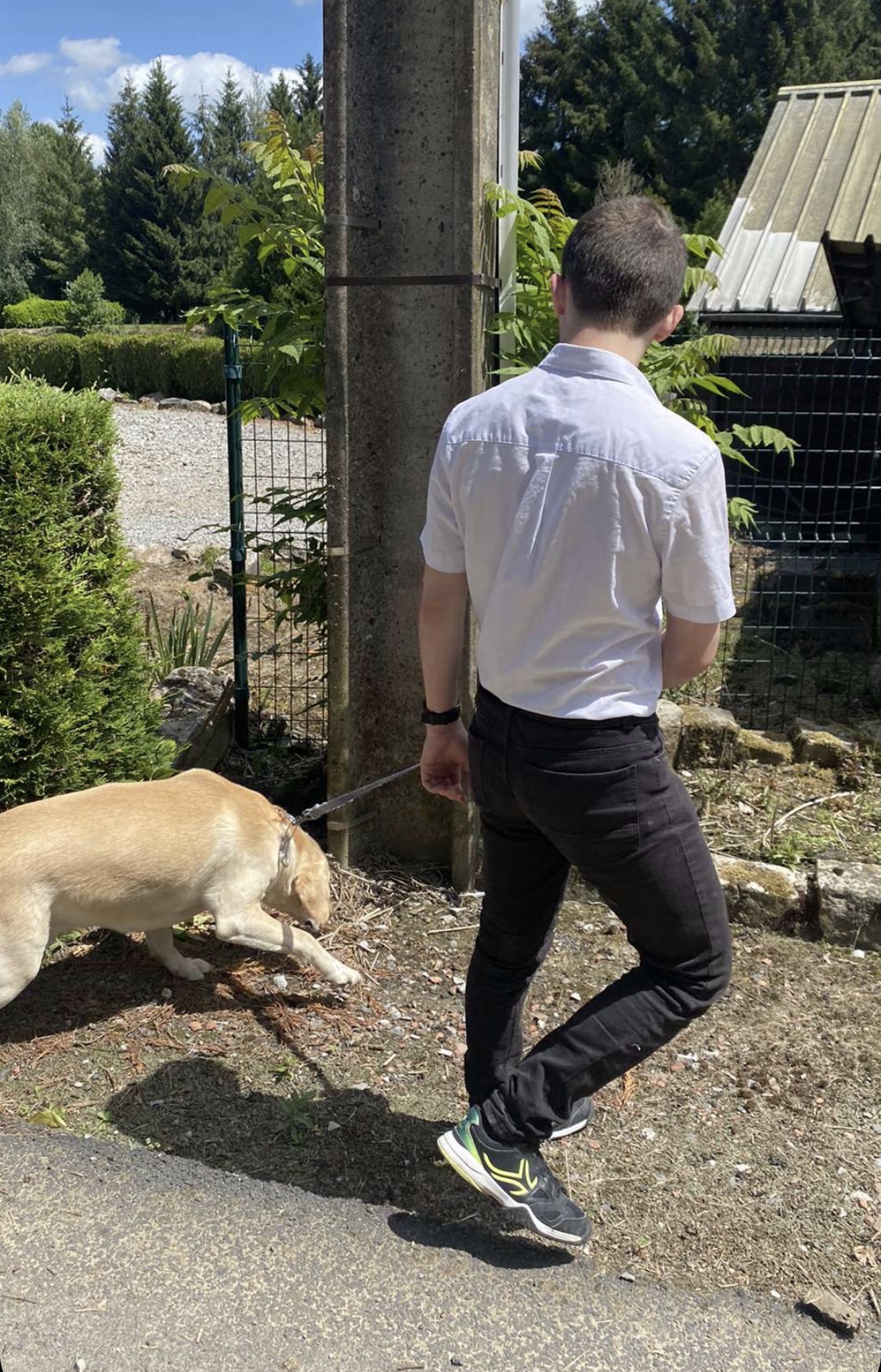 Profilo di Pierre-paul