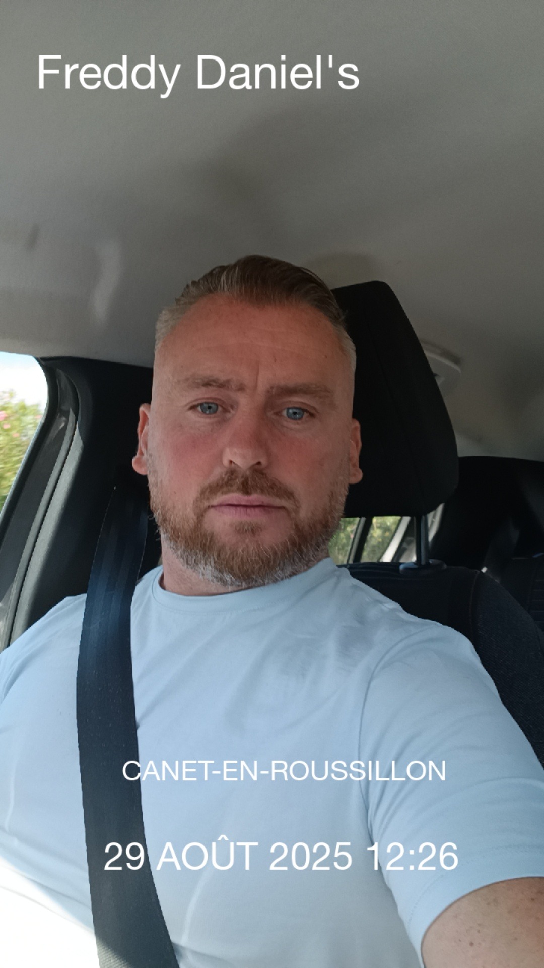 Profilo di Ala-eddine